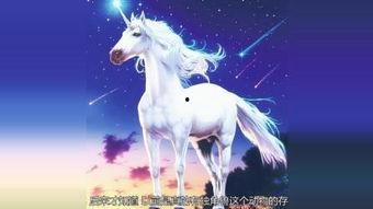 独角兽在线观看,揭秘科技巨头背后的传奇故事